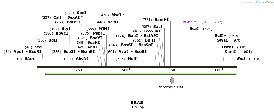 90495_map