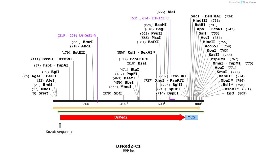 90496_map