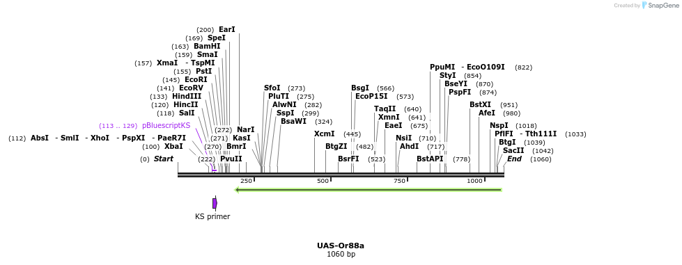 90498_map
