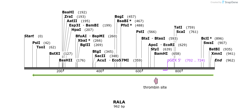 90500_map