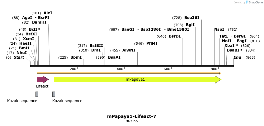 90502_map