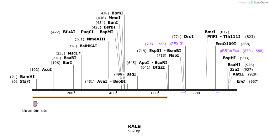 90503_map