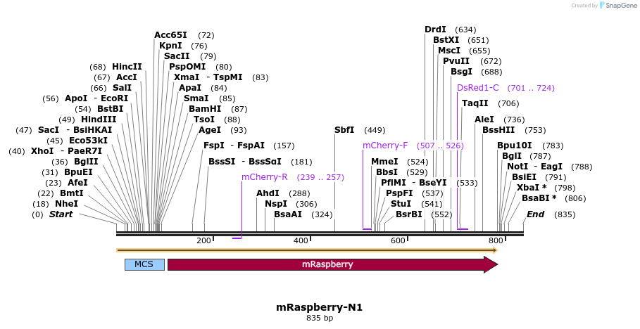 90504_map