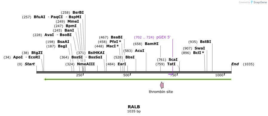 90505_map