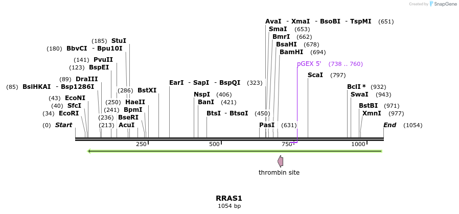 90506_map