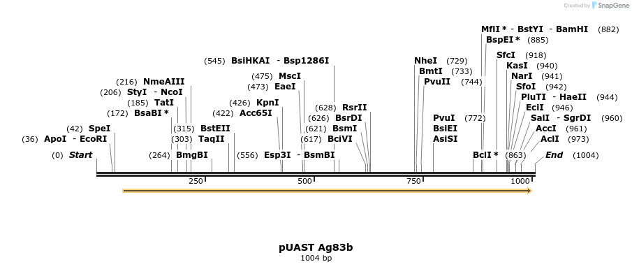90508_map