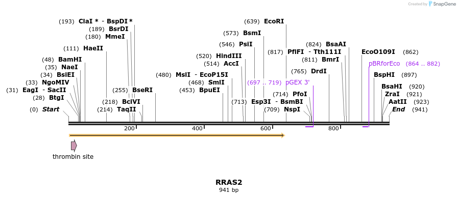 90509_map