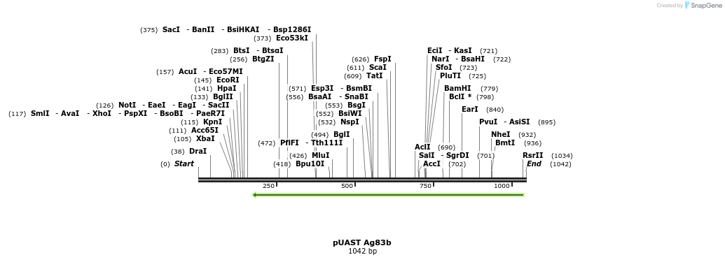 90510_map