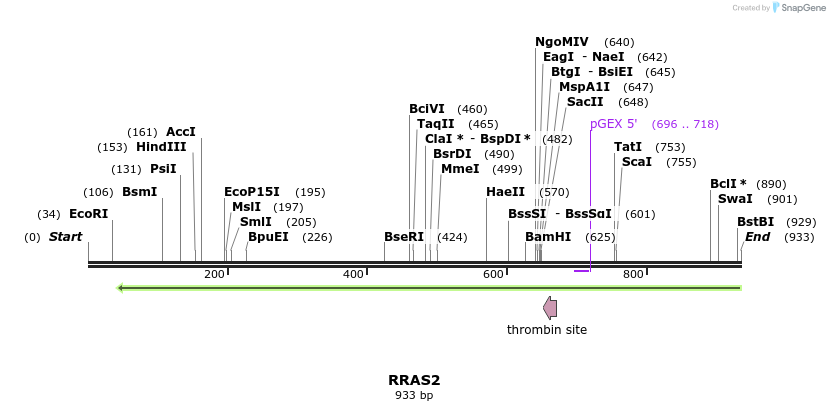 90511_map