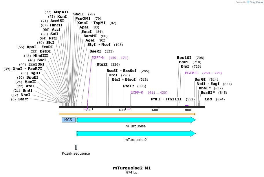 90514_map