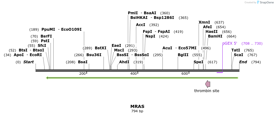 90515_map