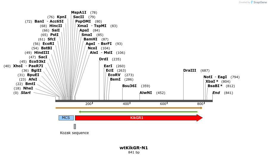90516_map