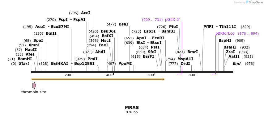 90517_map
