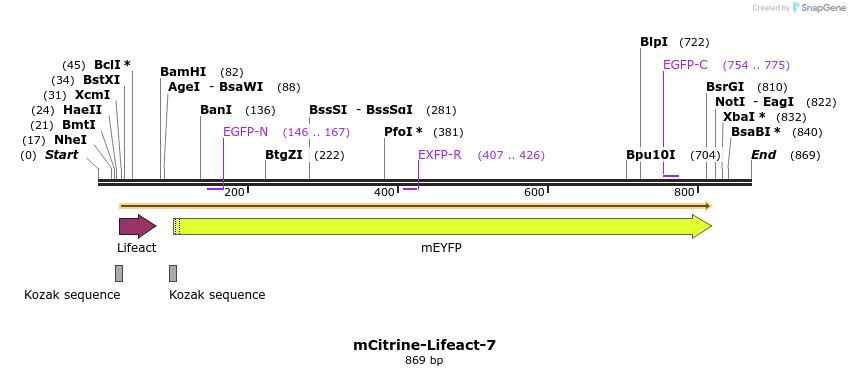 90519_map