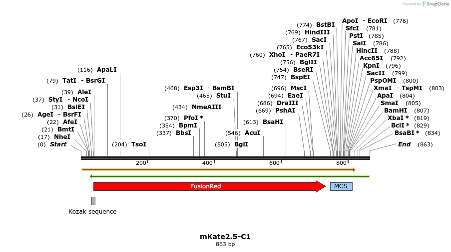 90522_map