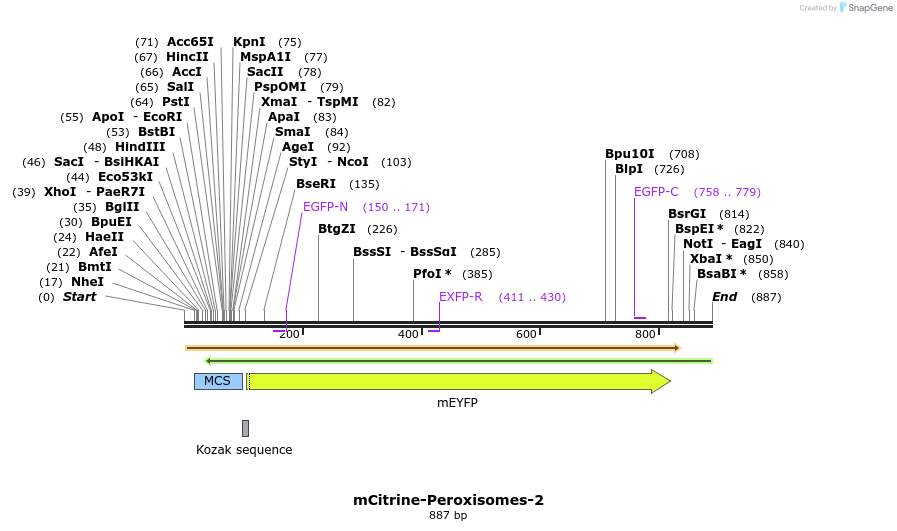 90523_map