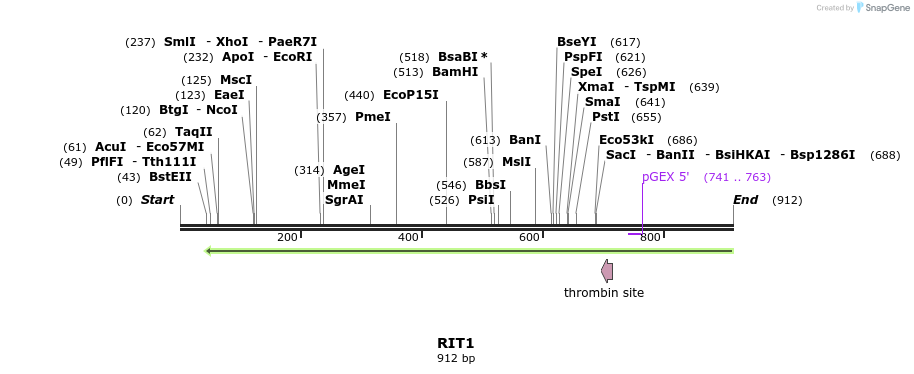90525_map