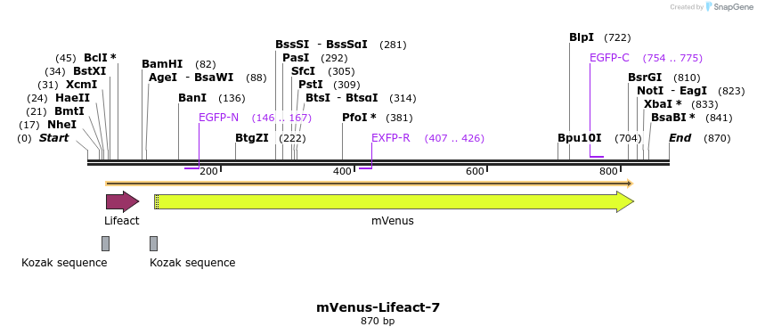 90528_map