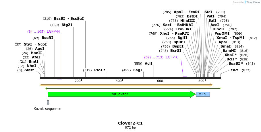 90529_map