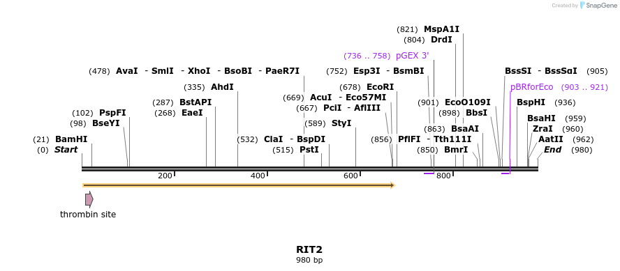 90530_map