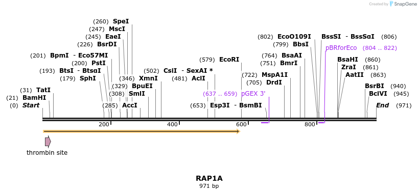 90539_map