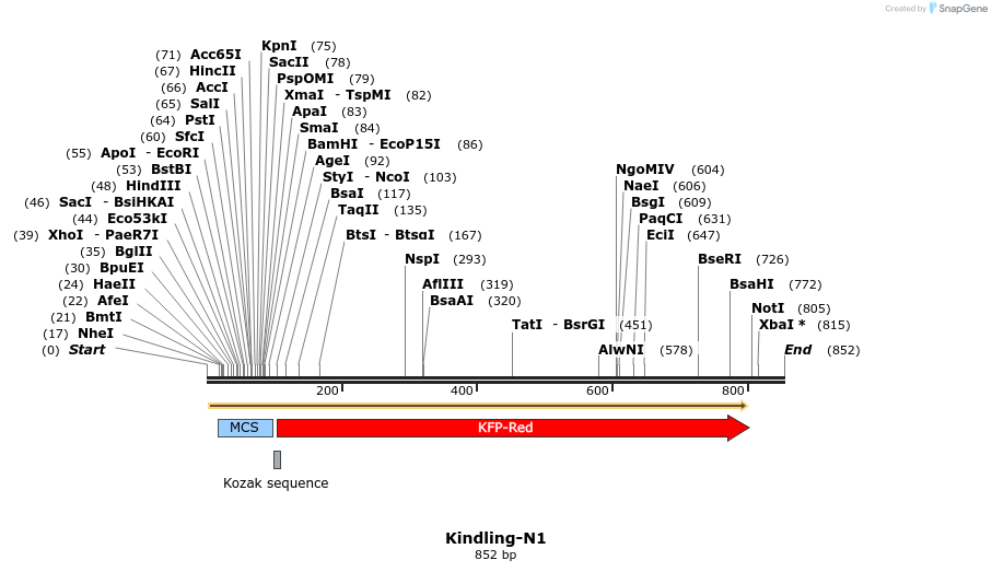 90540_map