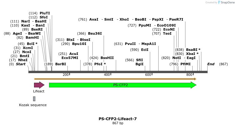 90541_map