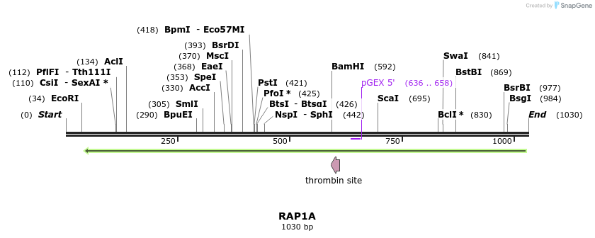 90542_map