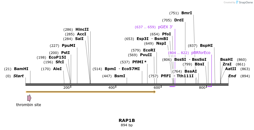 90545_map