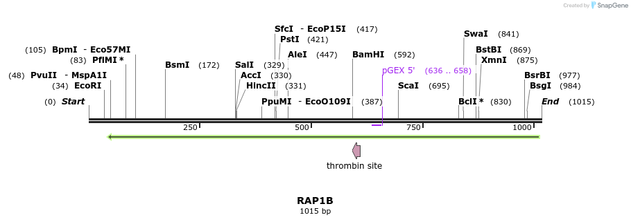 90547_map