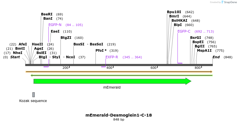 90550_map