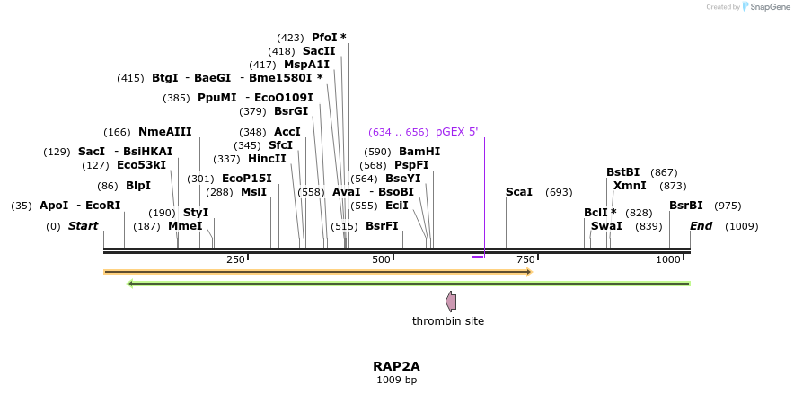 90551_map
