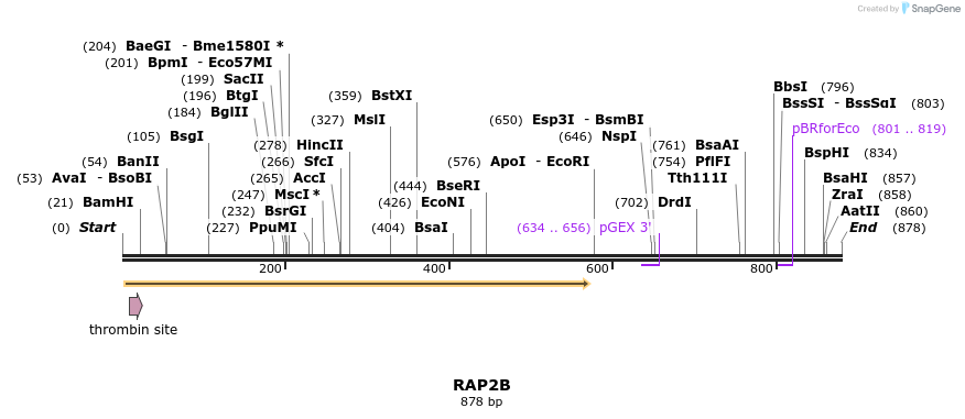 90553_map