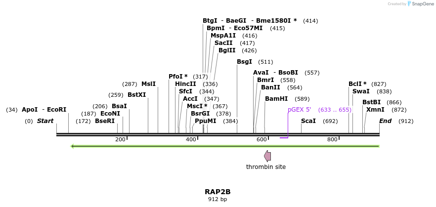 90555_map