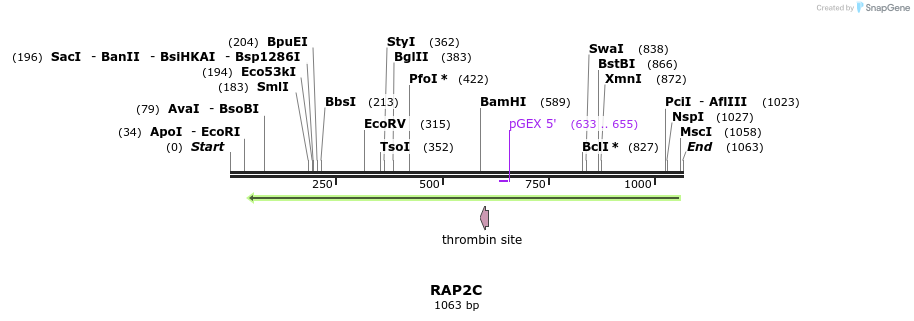 90558_map