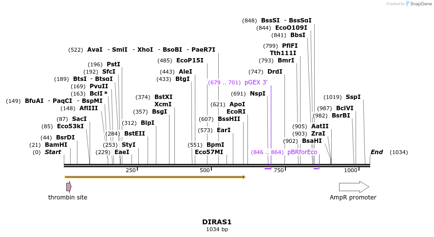 90560_map