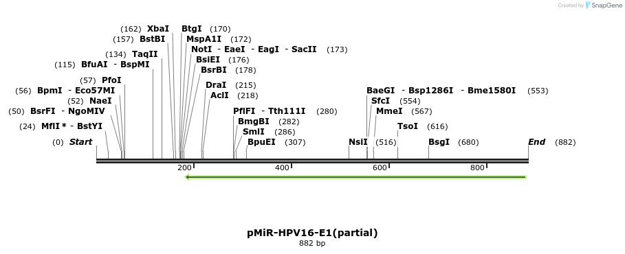 90564_map