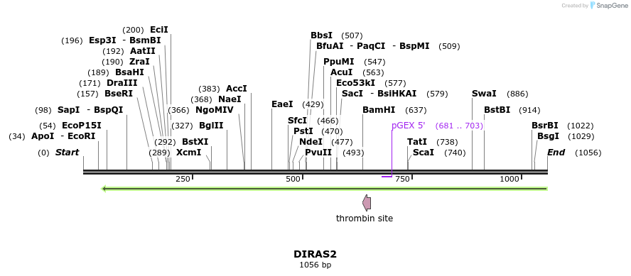 90565_map