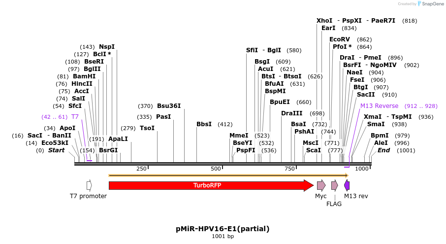 90566_map