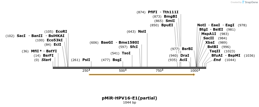 90568_map