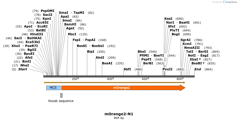 90576_map