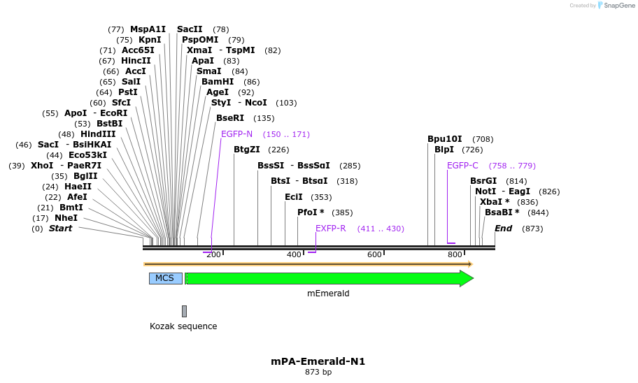 90579_map