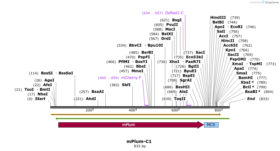 90581_map