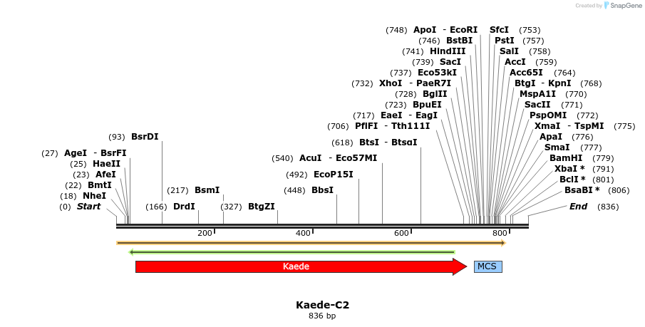 90585_map