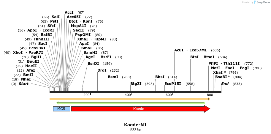 90586_map