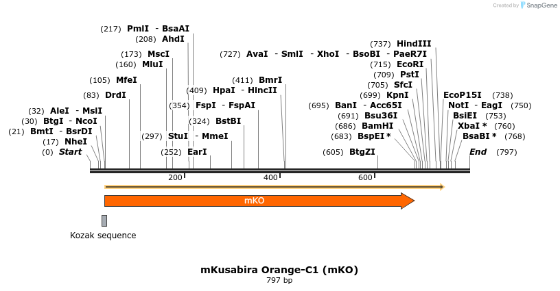 90587_map