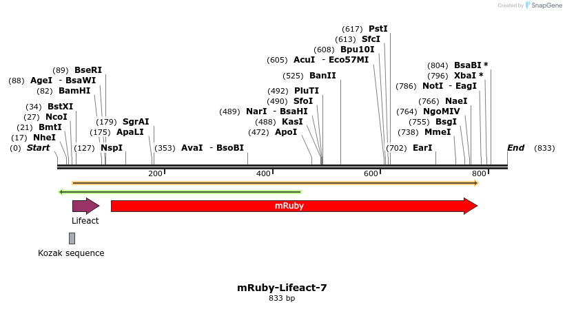 90590_map