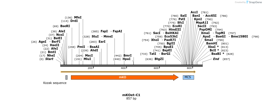 90594_map