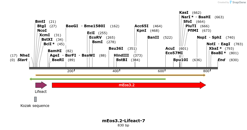 90595_map