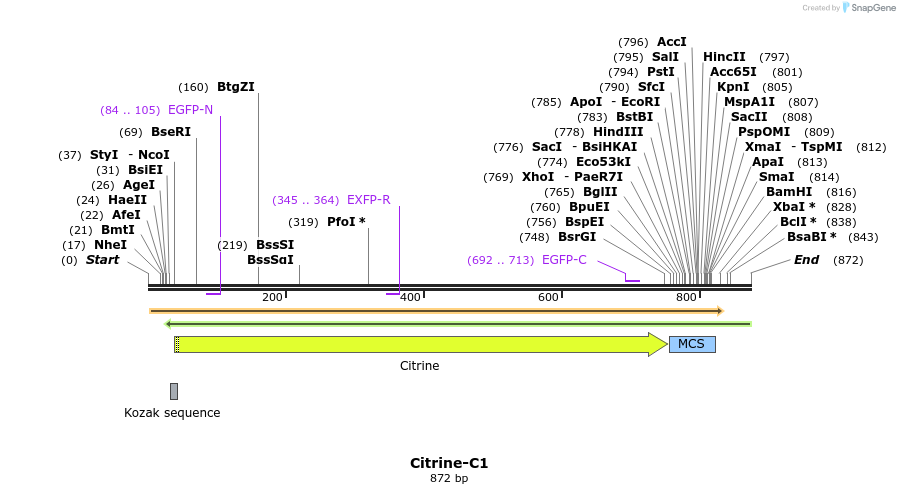 90596_map